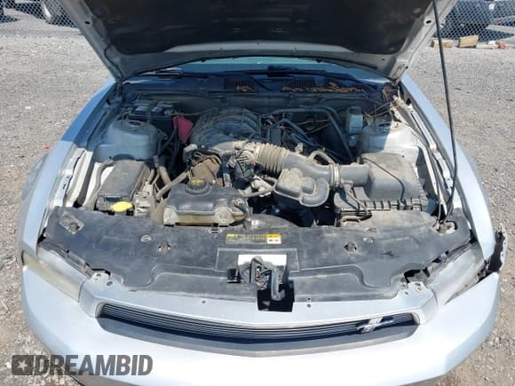 ✅ 2012 Ford Mustang V6 • VIN: 1ZVBP8AM4C5234747 • Lot: 43123966. Listed on IAAI with 196,457 mi. Free auction sales archive from the USA and detailed vehicle history report at DreamBid. Image 10.