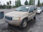✅ 1999 Jeep Grand Cherokee Laredo • VIN: 1J4G258S6XC788667 • Lot: 42101081. Wystawiony na IAAI z przebiegiem 255 368 mil. Bezpłatny archiwum sprzedaży aukcyjnych z USA i szczegółowy raport historii pojazdu na DreamBid. Zdjęcie 6.