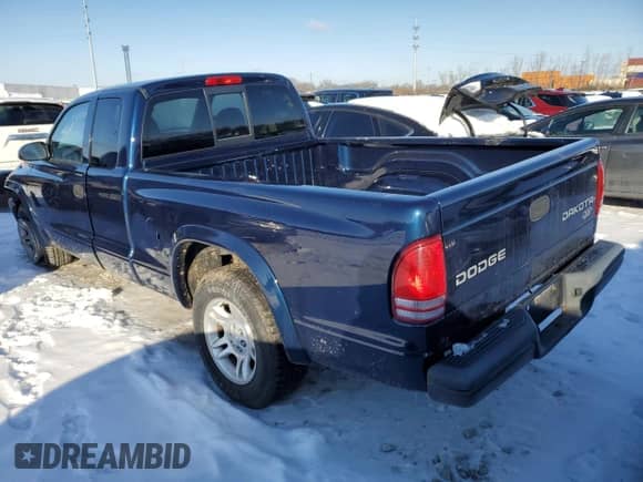 2004 Dodge Dakota with VIN 1D7GL12K74S615218, listed as a Copart auction lot 41593545 with 134,732 mi miles and Salvage title. Bid and sale history available at DreamBid. Image 2.