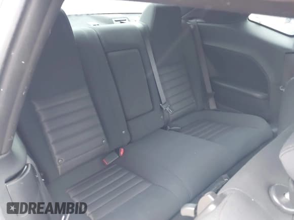 ✅ 2010 Dodge Challenger SE • VIN: 2B3CJ4DV5AH141118 • Lot: 41761967. Wystawiony na IAAI z przebiegiem 121 798 mil. Bezpłatny archiwum sprzedaży aukcyjnych z USA i szczegółowy raport historii pojazdu na DreamBid. Zdjęcie 8.