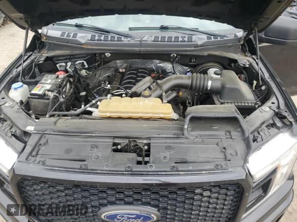 ✅ 2019 Ford F-150 XL • VIN: 1FTEX1C50KKC76149 • Lot: 59223965. Wystawiony na Copart z przebiegiem 271 479 mil. Bezpłatny archiwum sprzedaży aukcyjnych z USA i szczegółowy raport historii pojazdu na DreamBid. Zdjęcie 11.