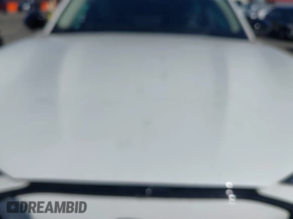 ✅ 2024 Ford Mustang Mach-E Premium • VIN: 3FMTK3R78RMA18406 • Lot: 43466081. Listed on IAAI with Not provided. Free auction sales archive from the USA and detailed vehicle history report at DreamBid. Image 10.