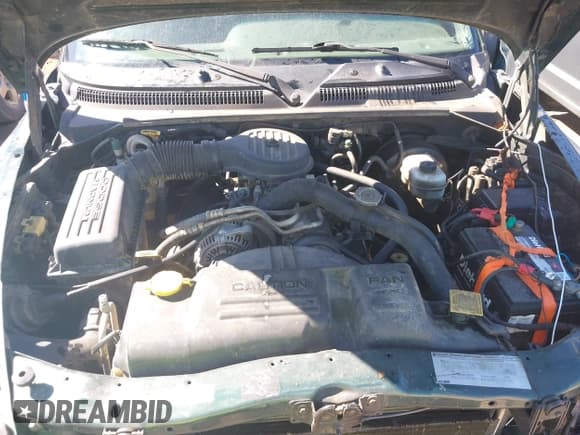 ✅ 2000 Dodge Dakota • VIN: 1B7GL22X1YS600067 • Lot: 41671267. Wystawiony na IAAI z przebiegiem 201 664 mil. Bezpłatny archiwum sprzedaży aukcyjnych z USA i szczegółowy raport historii pojazdu na DreamBid. Zdjęcie 10.