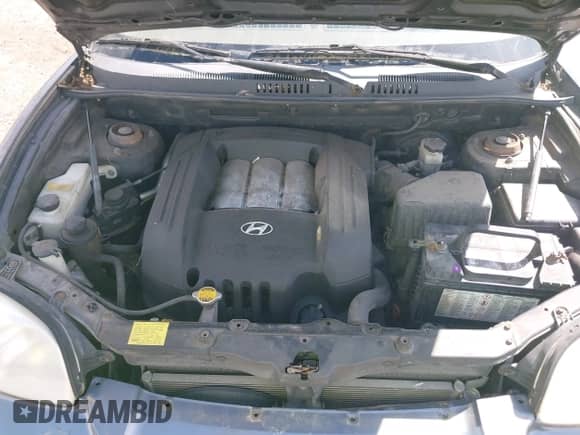 ✅ 2004 Hyundai Santa Fe GLS • VIN: KM8SC13D94U747420 • Лот: 42091747. Размещён на IAAI с пробегом 198 003 миль миль. Получите бесплатный доступ к архиву аукционных продаж из США и посмотрите подробный отчёт об истории автомобиля на DreamBid. Изображение 10.