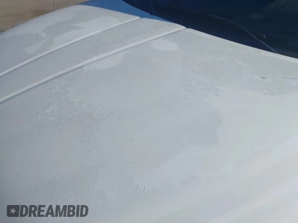 ✅ 1998 Dodge 1500 • VIN: 3B7HC13Z0WG189473 • Lot: 43790942. Wystawiony na IAAI z przebiegiem 136 475 mil. Bezpłatny archiwum sprzedaży aukcyjnych z USA i szczegółowy raport historii pojazdu na DreamBid. Zdjęcie 12.