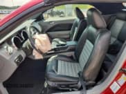 ✅ 2009 Ford Mustang GT • VIN: 1ZVHT85H195117784 • Lot: 64933225. Wystawiony na Copart z przebiegiem 46 449 mil. Bezpłatny archiwum sprzedaży aukcyjnych z USA i szczegółowy raport historii pojazdu na DreamBid. Zdjęcie 7.