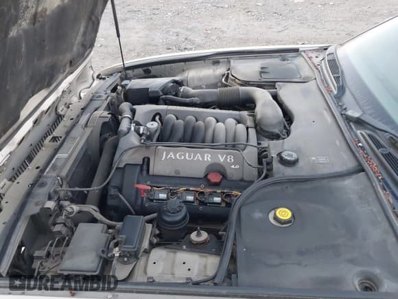 ✅ 2003 Jaguar XJ 8 • VIN: SAJDA14C23LF53538 • Lot: 43497903. Wystawiony na IAAI z przebiegiem 119 873 mil. Bezpłatny archiwum sprzedaży aukcyjnych z USA i szczegółowy raport historii pojazdu na DreamBid. Zdjęcie 10.