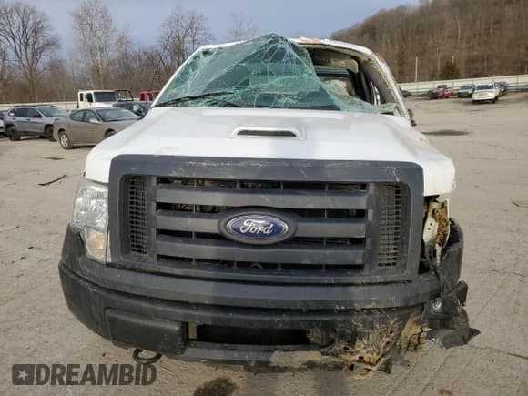 ✅ 2010 Ford F-150 XL • VIN: 1FTNF1E81AKB37107 • Lot: 43916295. Listed on Copart with 122,748 mi. Free auction sales archive from the USA and detailed vehicle history report at DreamBid. Image 5.