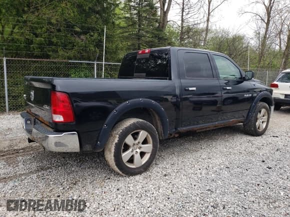 ✅ 2009 Dodge 1500 SLT • VIN: 1D3HV13T19S702739 • Lot: 55923585. Wystawiony na Copart z przebiegiem 125 251 mil. Bezpłatny archiwum sprzedaży aukcyjnych z USA i szczegółowy raport historii pojazdu na DreamBid. Zdjęcie 3.
