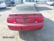 ✅ 2006 Ford Mustang Standard • VIN: 1ZVFT84N365190097 • Lot: 42015242. Listed on IAAI with Not provided. Free auction sales archive from the USA and detailed vehicle history report at DreamBid. Image 14.