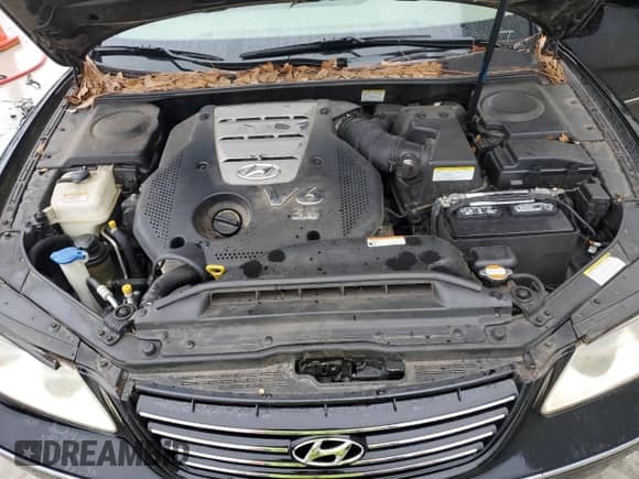 2007 Hyundai Azera SE with VIN KMHFC46F17A231820, listed as a Copart auction lot 46066755 with 56,813 mi miles and Salvage title. Bid and sale history available at DreamBid. Image 11.