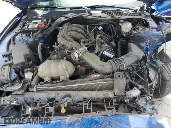 ✅ 2017 Ford Mustang V6 • VIN: 1FA6P8AM8H5286755 • Lot: 53948355. Listed on Copart with 89,888 mi. Free auction sales archive from the USA and detailed vehicle history report at DreamBid. Image 11.