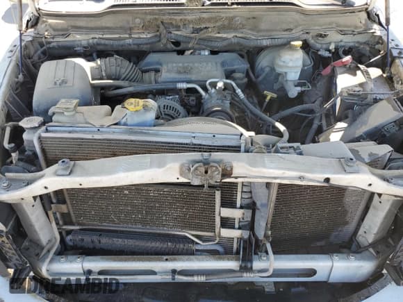 ✅ 2008 Dodge 1500 SLT • VIN: 1D7HA18288J160716 • Lot: 77667834. Listed on Copart with 301,144 mi. Free auction sales archive from the USA and detailed vehicle history report at DreamBid. Image 11.