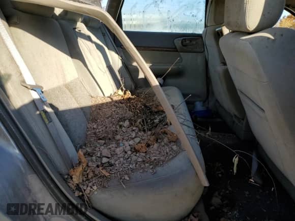 2005 Chevrolet Impala с VIN 2G1WF52E359154142, выставлен на аукционе Copart как лот 75640834 с пробегом Не указан миль и Списание • Salvage title. История ставок и продаж доступна на DreamBid. Изображение 10.