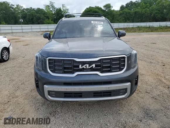 ✅ 2024 Kia Telluride SX X-Line • VIN: 5XYP5DGC0RG441576 • Лот: 54216365. Опубликован ранее на Copart с пробегом Не указан. Бесплатный доступ к архиву аукционных продаж из США и подробный отчёт об истории автомобиля на DreamBid. Изображение 5.
