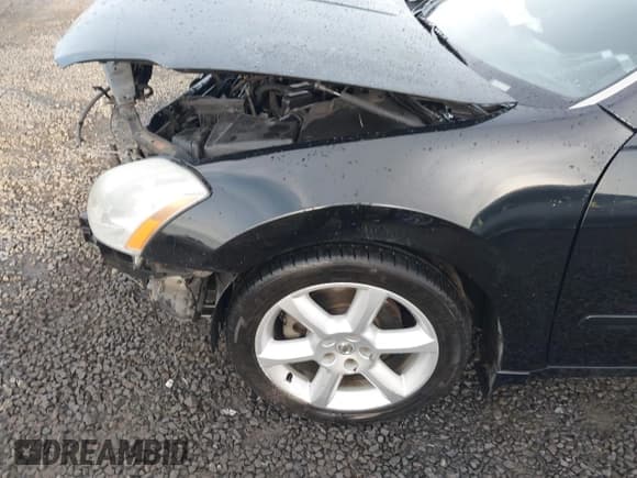 ✅ 2004 Nissan Maxima SL • VIN: 1N4BA41E14C890140 • Лот: 41018281. Опубликован ранее на IAAI с пробегом 218 229 миль. Бесплатный доступ к архиву аукционных продаж из США и подробный отчёт об истории автомобиля на DreamBid. Изображение 22.