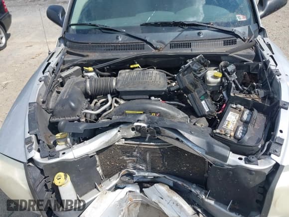 ✅ 2005 Dodge Dakota SLT • VIN: 1D7HW48N05S231376 • Lot: 43219740. Listed on IAAI with Not provided. Free auction sales archive from the USA and detailed vehicle history report at DreamBid. Image 10.