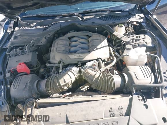 ✅ 2025 Ford Mustang GT • VIN: 1FA6P8CF7S5407152 • Lot: 42276876. Wystawiony na IAAI z przebiegiem 1 036 mil. Bezpłatny archiwum sprzedaży aukcyjnych z USA i szczegółowy raport historii pojazdu na DreamBid. Zdjęcie 10.