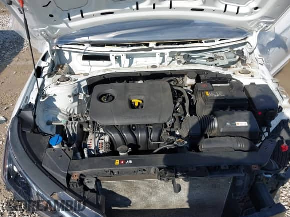 2019 Hyundai Elantra SE z VIN 5NPD74LF3KH415341, wystawiony jako IAAI lot #43413818 z przebiegiem 106 025 mil mil oraz . Historia ofert i sprzedaży dostępna na DreamBid. Obrazek 10.