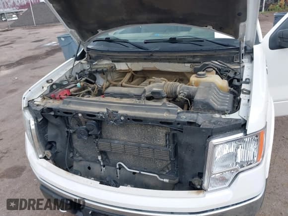 ✅ 2013 Ford F-150 XL • VIN: 1FTFW1EF5DFC88242 • Lot: 42573830. Listed on IAAI with 225,747 mi. Free auction sales archive from the USA and detailed vehicle history report at DreamBid. Image 10.