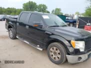 ✅ 2009 Ford F-150 XL • VIN: 1FTRW12849KA75199 • Lot: 42531716. Listed on IAAI with 191,643 mi. Free auction sales archive from the USA and detailed vehicle history report at DreamBid. Image 1.