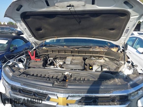 ✅ 2023 Chevrolet Silverado 1500 LT • VIN: 3GCPACE81PG282635 • Lot: 43316406. Wystawiony na IAAI z przebiegiem 61 044 mil. Bezpłatny archiwum sprzedaży aukcyjnych z USA i szczegółowy raport historii pojazdu na DreamBid. Zdjęcie 10.