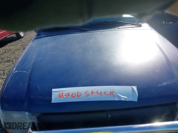 ✅ 2000 Ford Ranger XL • VIN: 1FTZR15V9YPB50747 • Лот: 43562988. Опубликован ранее на IAAI с пробегом 134 325 миль. Бесплатный доступ к архиву аукционных продаж из США и подробный отчёт об истории автомобиля на DreamBid. Изображение 10.