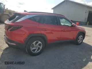 2023 Hyundai Tucson SEL с VIN 5NMJB3AE6PH208064, выставлен на аукционе Copart как лот 68642755 с пробегом 64 845 миль миль и Списание • Salvage title. История ставок и продаж доступна на DreamBid. Изображение 3.