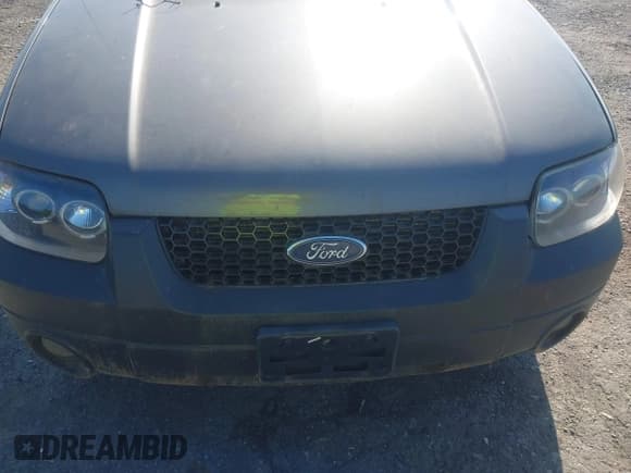 ✅ 2006 Ford Escape XLT • VIN: 1FMYU93116KA07662 • Lot: 42372284. Listed on IAAI with 206,831 mi. Free auction sales archive from the USA and detailed vehicle history report at DreamBid. Image 6.