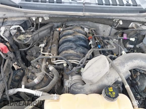 ✅ 2018 Ford F-150 XL • VIN: 1FTEW1E56JKC02331 • Lot: 42554412. Wystawiony na IAAI z przebiegiem 203 633 mil. Bezpłatny archiwum sprzedaży aukcyjnych z USA i szczegółowy raport historii pojazdu na DreamBid. Zdjęcie 10.