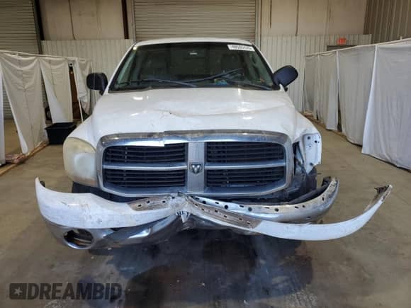 2006 Dodge 1500 SLT with VIN 1D7HA16N36J178311, listed as a Copart auction lot 48599425 with 219,678 mi miles and Salvage title. Bid and sale history available at DreamBid. Image 5.