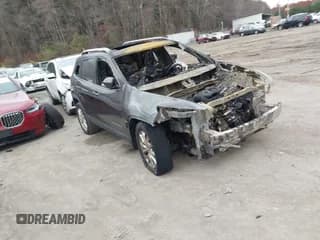 ✅ 2014 Jeep Cherokee Limited • VIN: 1C4PJMDS5EW210497 • Lot: 43673988. Listed on IAAI with Not provided. Free auction sales archive from the USA and detailed vehicle history report at DreamBid. Image 1.