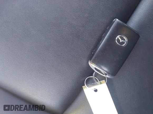 ✅ 2019 Mazda 3 • VIN: JM1BPAJM5K1141896 • Lot: 43667163. Listed on IAAI with 87,269 mi. Free auction sales archive from the USA and detailed vehicle history report at DreamBid. Image 11.