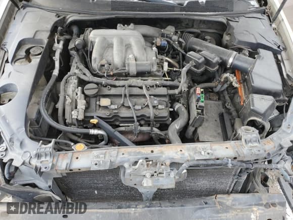 ✅ 2006 Nissan Maxima SE • VIN: 1N4BA41EX6C801524 • Lot: 52533335. Listed on Copart with 120,879 mi. Free auction sales archive from the USA and detailed vehicle history report at DreamBid. Image 11.