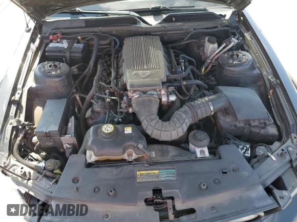 ✅ 2009 Ford Mustang GT • VIN: 1ZVHT85H495122350 • Lot: 47954065. Wystawiony na Copart z przebiegiem 106 673 mil. Bezpłatny archiwum sprzedaży aukcyjnych z USA i szczegółowy raport historii pojazdu na DreamBid. Zdjęcie 11.