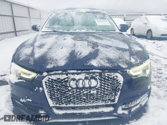 ✅ 2014 Audi S5 Premium Plus • VIN: WAUCGAFR8EA029703 • Лот: 43820510. Опубликован ранее на IAAI с пробегом 125 765 миль. Бесплатный доступ к архиву аукционных продаж из США и подробный отчёт об истории автомобиля на DreamBid. Изображение 12.