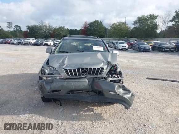 ✅ 2002 Lexus RX 300 • VIN: JTJGF10U120147322 • Lot: 43789608. Listed on IAAI with 184,120 mi. Free auction sales archive from the USA and detailed vehicle history report at DreamBid. Image 12.