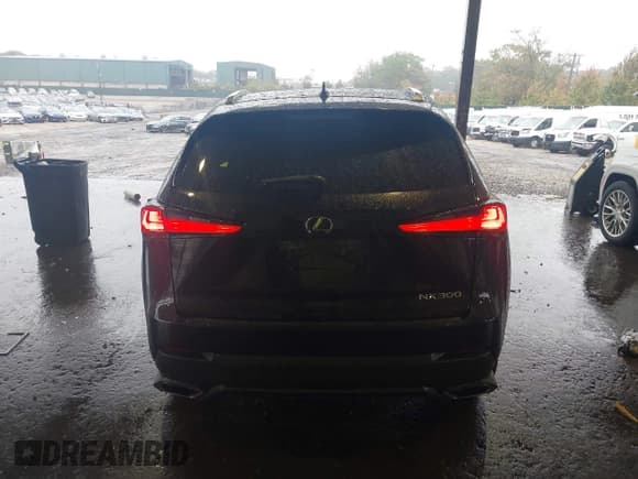 ✅ 2018 Lexus NX 300 • VIN: JTJBARBZ2J2170580 • Lot: 43394700. Listed on IAAI with 86,546 mi. Free auction sales archive from the USA and detailed vehicle history report at DreamBid. Image 17.