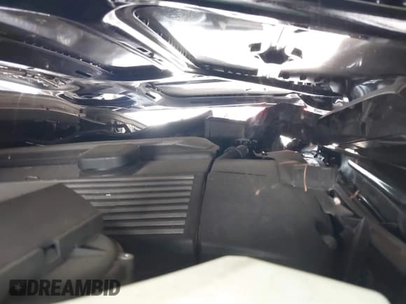 ✅ 2000 BMW 3 Series 328i • VIN: WBAAM5344YJR62437 • Lot: 43155519. Listed on IAAI with 76,742 mi. Free auction sales archive from the USA and detailed vehicle history report at DreamBid. Image 10.