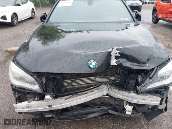 ✅ 2014 BMW 7 Series 750i xDrive • VIN: WBAYB6C54ED224411 • Lot: 42225630. Listed on IAAI with 158,991 mi. Free auction sales archive from the USA and detailed vehicle history report at DreamBid. Image 10.