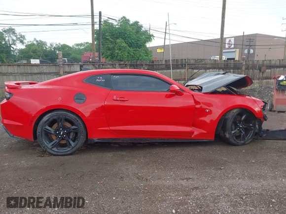 ✅ 2019 Chevrolet Camaro 1SS • VIN: 1G1FF1R72K0147785 • Lot: 42531881. Wystawiony na IAAI z przebiegiem 53 054 mil. Bezpłatny archiwum sprzedaży aukcyjnych z USA i szczegółowy raport historii pojazdu na DreamBid. Zdjęcie 13.