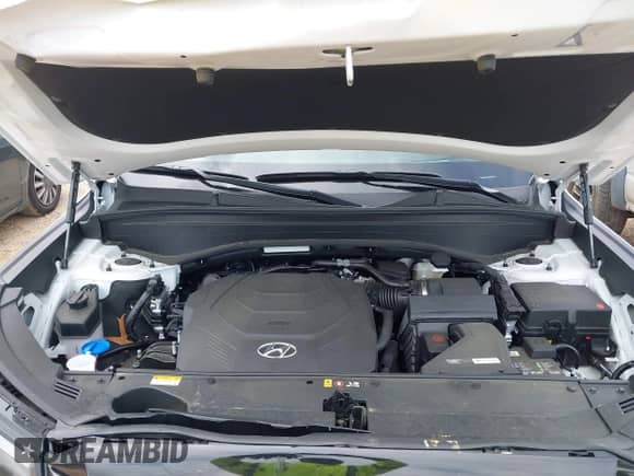 ✅ 2025 Hyundai Palisade Limited • VIN: KM8R54GEXSU843518 • Лот: 42043752. Размещён на IAAI с пробегом 4 330 миль миль. Получите бесплатный доступ к архиву аукционных продаж из США и посмотрите подробный отчёт об истории автомобиля на DreamBid. Изображение 10.