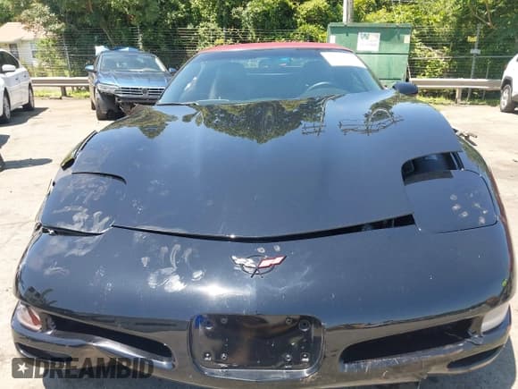 ✅ 2004 Chevrolet Corvette • VIN: 1G1YY32G745127918 • Лот: 42543099. Опубликован ранее на IAAI с пробегом 48 241 миль. Бесплатный доступ к архиву аукционных продаж из США и подробный отчёт об истории автомобиля на DreamBid. Изображение 12.