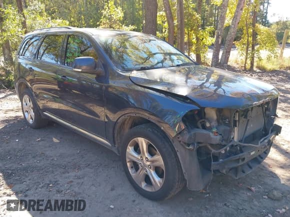 ✅ 2014 Dodge Durango Limited • VIN: 1C4RDJDG1EC495338 • Лот: 43491712. Опубликован ранее на IAAI с пробегом 177 588 миль. Бесплатный доступ к архиву аукционных продаж из США и подробный отчёт об истории автомобиля на DreamBid. Изображение 1.