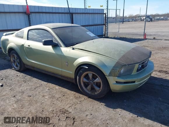 ✅ 2006 Ford Mustang Standard • VIN: 1ZVHT80N065238797 • Lot: 43893057. Listed on IAAI with 197,311 mi. Free auction sales archive from the USA and detailed vehicle history report at DreamBid. Image 1.