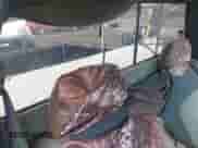 1993 Chevrolet S-10 EL X81 with VIN 1GCCT14Z1P0158800, listed as a IAAI auction lot 42521560 with 190,203 mi miles and . Bid and sale history available at DreamBid. Image 8.