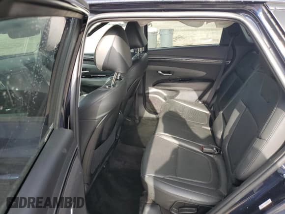 ✅ 2023 Hyundai Tucson N Line • VIN: KM8JF3AE4PU254520 • Lot: 58559485. Wystawiony na Copart z przebiegiem 107 340 mil. Bezpłatny archiwum sprzedaży aukcyjnych z USA i szczegółowy raport historii pojazdu na DreamBid. Zdjęcie 11.