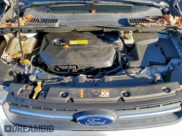 ✅ 2016 Ford Escape SE • VIN: 1FMCU9GX3GUB75866 • Лот: 95094085. Опубликован ранее на Copart с пробегом 177 172 миль. Бесплатный доступ к архиву аукционных продаж из США и подробный отчёт об истории автомобиля на DreamBid. Изображение 12.