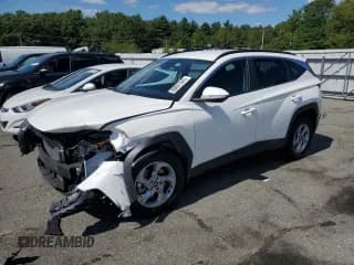 ✅ 2023 Hyundai Tucson SEL • VIN: 5NMJBCAE5PH203373 • Lot: 80091845. Wystawiony na Copart z przebiegiem 35 302 mil. Bezpłatny archiwum sprzedaży aukcyjnych z USA i szczegółowy raport historii pojazdu na DreamBid. Zdjęcie 1.