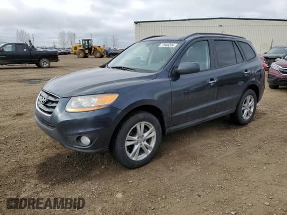 ✅ 2010 Hyundai Santa Fe SE • VIN: 5NMSHDAG2AH401992 • Lot: 77666204. Listed on Copart with 219,622 mi. Free auction sales archive from the USA and detailed vehicle history report at DreamBid. Image 1.